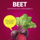 에이.씨.비 이미지