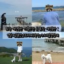 포항시북구67 | 포항 애견동반 가볼만한 곳 포항 애견동반 : 영일대,곤륜산,오도리해수욕장,이가리닻전망대