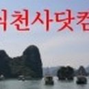 팍스넷 노동조합 이미지