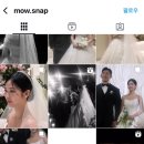 고스냅DVD 이미지
