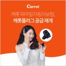 캐롯 카카오 검색결과