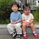 독서하는 친구들/내가 좋아하는 놀잇감으로 방에서 놀아요/음악 젤리 왕자,공주님/빨간 장미 구경 중인 어여쁜 별빛 친구들/영어 이미지