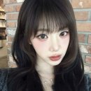하츠헤어