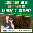 한우랑식품 이미지