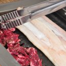 생생장어 이미지