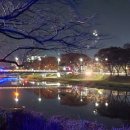 순창독도참치초밥