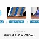 코스티머 - 5713 | 코스티머
