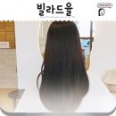 진헤어빌 네이버블로그