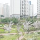 효자도서관 이미지
