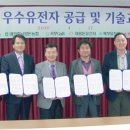 대웅돈 유전자 이미지