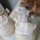 우곡 | 배혜정도가 미나리 우곡생주 후기 | 프리미엄막걸리 걸쭉한막걸리