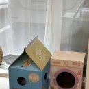 고양이 미용실 그냥 이미지