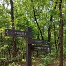 초안산헬기장 이미지