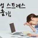 [청담/필라테스] 로제 가방 필수템이라는 스트레스볼, 어떻게 써야 효과 있을까? 과학적으로도 스트레스...