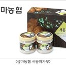 금마웰빙