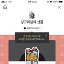 강귤