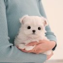 청도메디컬 이미지