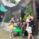 나비마트 | 보홀육상투어 가족여행 나비농장 안경원숭이 로복강투어 내돈내산 후기