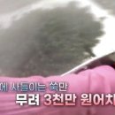 전통떡집쑥떡쑥떡 이미지
