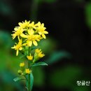 좋은생각