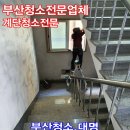 부산 영도구 입주청소 이사청소 업체 추천 리스트 5곳