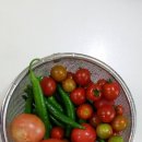 삼송농장 이미지