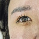 플로우미
