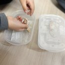 와우펫앤쥬진주점 이미지