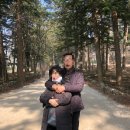 항아케이크 이미지