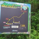 함양대봉산농원 Daum카페