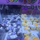 인형뽑기 이미지