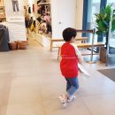 나비사주카페 이미지