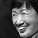 내가본꽃씨 이미지