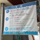 [전북무주맛집] 송어회, 으메 왜 이제 알아쓰까잉 ? ! : 송어회 , 매운탕 , 솔직후기