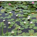 동국농장 이미지