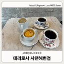 사천해변 | 강릉 카페 추천｜테라로사 사천해변점 방문 후기