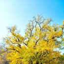 엘도라도시티 이미지