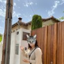 섬니의 서부지중해 크루즈/ 팔마 데 마요르카(Palma de Mallorca) /기항지 투어/크루즈 2일차/로얄...