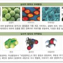 비케이컴퍼니 이미지
