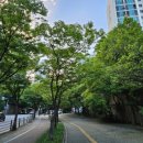 신안모란아파트 상가동 이미지