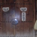 참나무쟁이 이미지