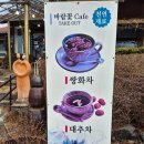 바람꽃건강 | *[담양카페] 담양에서 만난 힐링 공간, 카페 바람꽃