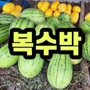 적성농장 이미지