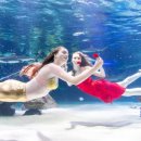 아쿠아플라넷63 이미지