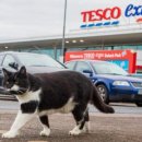 주식회사 더가람 이미지