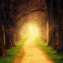 내려놓음 이미지