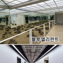 디자인제니