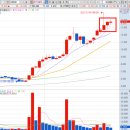 11620-19-19-1 이미지