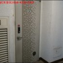 신방한라동백@ 3 이미지