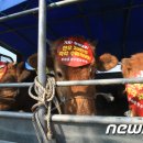 상경축산 이미지